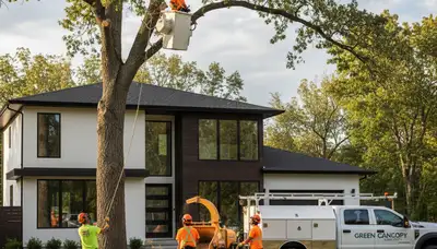 Professional tree removal service in Pittsburgh, PA safely cutting down storm-damaged oak tree
