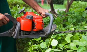 Shrub Removal in Pittsburgh PA Shrub Removal Services in Pittsburgh PA Shrub Care in Pittsburgh PA Landscaping in Pittsburgh PA