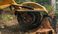 Stump Removal in Pittsburgh PA